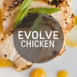 evolve chicken